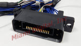 NORITSU CABLE UNIT J523, J525, J904, P550 W300218-01