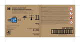 Kodak Color Print SP Developer Replenisher To Make 4 x 10L (40 Liters) 1661033